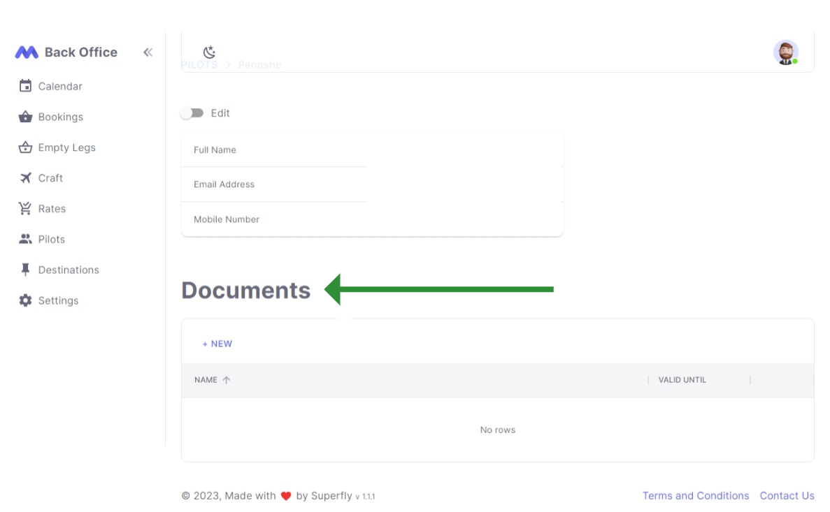 pilot-documents-table
